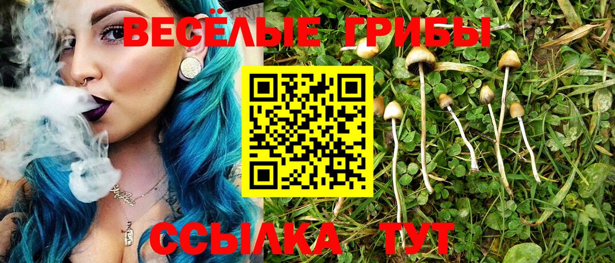 Псилоцибиновые грибы Magic Shrooms  Вход с VPN  Галлюциногенные грибы GOLDEN TEACHER  Вичуга 