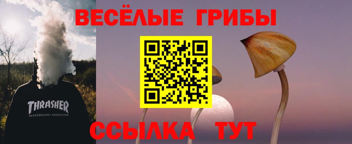 Галлюциногенные грибы MAGIC MUSHROOMS Вичуга